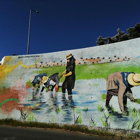 Venancio Alojamento Leilighet Alcácer do Sal Eksteriør bilde